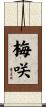 梅咲 Scroll