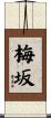 梅坂 Scroll