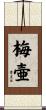 梅壷 Scroll