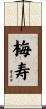 梅寿 Scroll