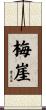 梅崖 Scroll