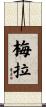 Mera Scroll
