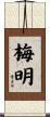 梅明 Scroll