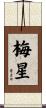 梅星 Scroll