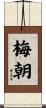 梅朝 Scroll