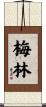 Mailyn Scroll
