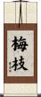 梅枝 Scroll