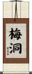 梅洞 Scroll