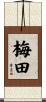梅田 Scroll