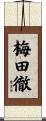 梅田徹 Scroll