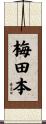 梅田本 Scroll