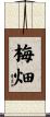 梅畑 Scroll
