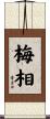 梅相 Scroll