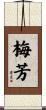 梅芳 Scroll