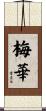 梅華 Scroll