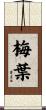 梅葉 Scroll