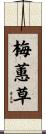梅蕙草 Scroll