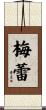 梅蕾 Scroll