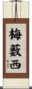 梅薮西 Scroll