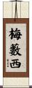 梅藪西 Scroll