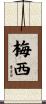 梅西 Scroll