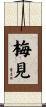 梅見 Scroll