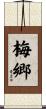 梅郷 Scroll