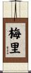 Meili Scroll