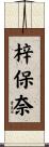 梓保奈 Scroll