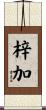 梓加 Scroll