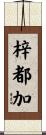 梓都加 Scroll