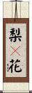 梨々花 Scroll