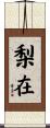 梨在 Scroll