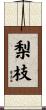 梨枝 Scroll