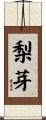 梨芽 Scroll