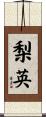 梨英 Scroll