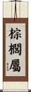 棕櫚屬 Scroll