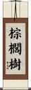 棕櫚樹 Scroll