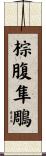 棕腹隼鵰 Scroll
