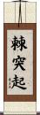 棘突起 Scroll