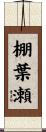 棚葉瀬 Scroll