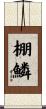 棚鱗 Scroll