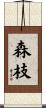 森枝 Scroll