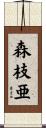 森枝亜 Scroll