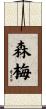 森梅 Scroll