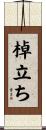 棹立ち Scroll