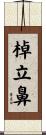 棹立鼻 Scroll