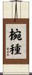椀種 Scroll