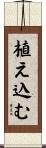 植え込む Scroll