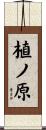 植ノ原 Scroll